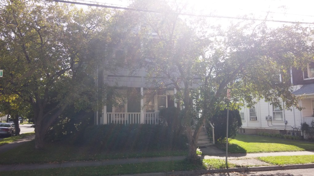 green house with porches behind two trees