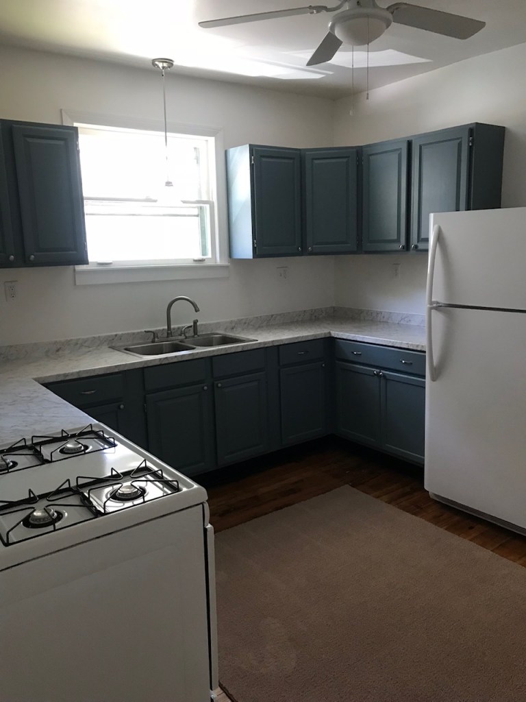 blue kitchen cabinets and fridge and stove in kitch