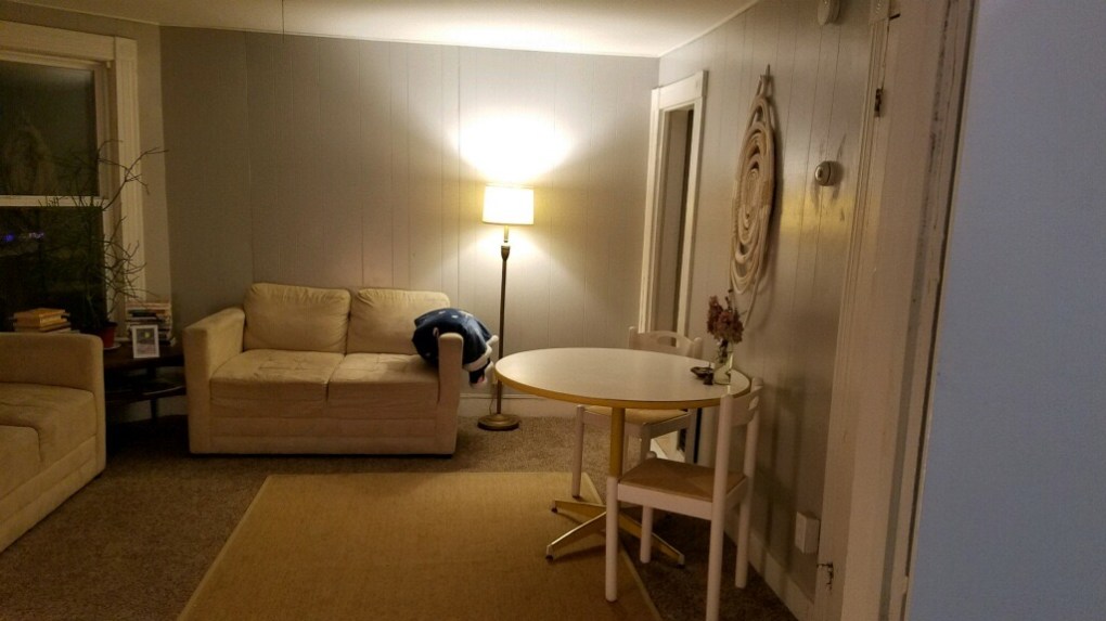 living room with two couches and table with light