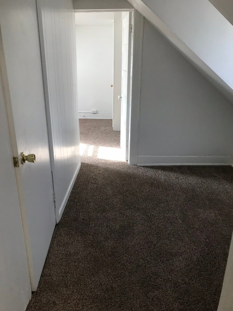 hallway with carpet